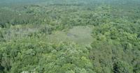 South Carolina national forest adds 2,000 new acres for public use