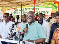 Agric Minister introduces policy to curb importation of tomatoes