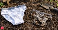 University of Idaho buried cotton underwear in 34 Idaho fields for eight weeks; soil microbes broke down the cotton as a simple soil-health test