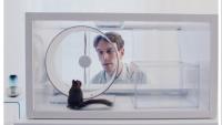 Markus Lehmusruusu’s Finnish Oscar Entry ‘The Squirrel’ Earns Aki Kaurismäki’s Stamp of Approval: ‘He Said It’s Like ‘2001: A Space Odyssey,’ but Better Because It’s Full of Humanism’