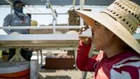 The High Cost of Climate Change on Worker Productivity