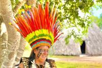 Indigenous Tourism in Brazil: The Definitive Guide to Cultural Immersion in the Haliti-Paresi Villages