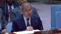 Yemeni government urges UNSC action as Houthis advance toward Bab al-Mandab
