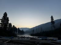 As extinction nears, welcome to Idaho’s ‘Salmon-less River’