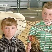 Agriculture takes center stage at county fair