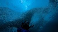 Support for nature-based climate pledges builds slowly