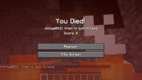 9-year-old caught running $118,000 worth of Minecraft YouTube ads with his dad's company card