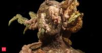 In 2006, an artist installed 75 human figures off Grenada after a hurricane damaged its reefs; corals later colonized them alongside parrotfish, shrimp and fireworms
