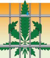 Indiana’s Long, Strange Trip With Marijuana
