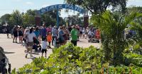 Butter busts, baby animals highlight Minnesota State Fair