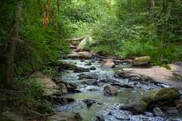 47-Year-Old Hudson Valley Man Dies In Upstate New York Creek