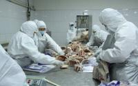 20,000 Tonnes of Meat to Be Reserved for Spring Demand