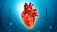 When to Screen Older Patients for Valve Disease?