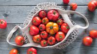 Tomatoes Are Grown Differently In Florida: Try The Easy Weaving Method Anywhere