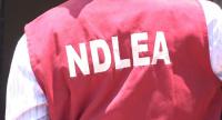 NDLEA Arrests Mexican Meth Kingpin, Uncovers Ebonyi Drug Laboratory