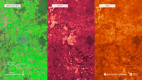 Earth Fire Alliance and Muon Space Release First Light and First Active Fire Images from Operational FireSat Constellation