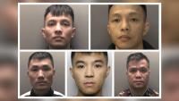 Twin brothers said they were smuggling 'chickens' into UK before sinister truth emerged
