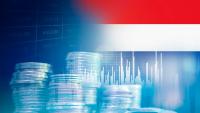 Netherlands plans to introduce capital gains tax next year – report