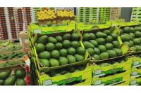 East Africa horticulture sector to tackle trade, logistics barriers in Nairobi