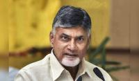 Chandrababu Naidu announces insurance cover for every TTD devotee