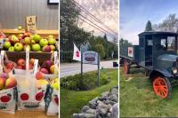 Charming Maine Orchard Just Jumped to the Top of My Fall List