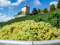 Swiss parliament approves Mercosur free trade deal
