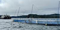 Aquaculture Conference Underway in St. John’s