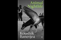 Book Review: Animal Nightlife