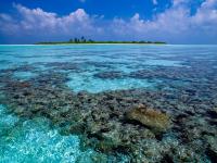 When data becomes action: how the Maldives is turning climate coordination into real-world impact