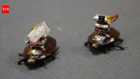 Australian scientists have created a cyborg cockroach that could locate victims and save lives in disaster zones