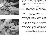 Study: Sibling Interactions Are an Untapped Resource for Early Engineering Education