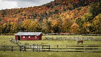 Farm Income Is Up. Why Are Margins So Tight? 