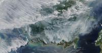 Indonesia Wildfire Haze Map: Why Is Borneo's Air So Dangerous Right Now?