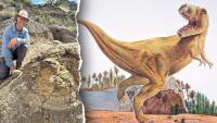 Scientists uncover 66-million-year-old T rex footprints trail unlike any found before