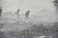 'Breathing toxin every day': Indonesians choking on haze feel helpless