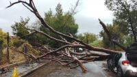 Italians want action on climate, inequality, but don't trust leaders to deliver - report