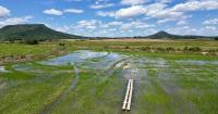 Terradot and Google Combine Superpollutants and Carbon Removal in the World's Largest Enhanced Rock Weathering Project in Southern Brazil