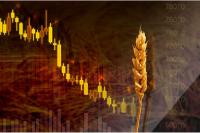 Bioceres granted 180 days to bring stock price up