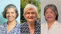 Carib Editorial – Caribbean Research Changing The World 