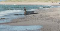 Polish prosecutors say drone found on beach carried warhead