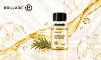 Hair Care, But Make It Easy: Brillare Introduces Rosemary Oil Shots for a 15-Night Scalp Ritual