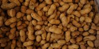 Georgia goes nuts as annual Peanut Tour rolls into Savannah