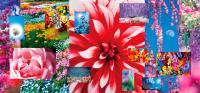 10 essential NYC art