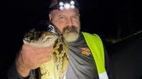 Florida's python economy: How much cash are contracted hunters making for killing the invasive snakes?
