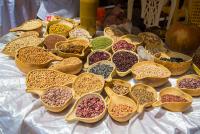 The East African Community Seed and Plant Varieties Bill, 2025 must protect the Farmers and Seed Systems that feed the region