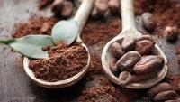 The ancient superfood revolution: Why organic cocoa drink mixes are taking the wellness world by storm