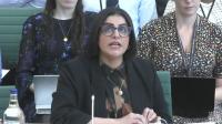 'British FBI' will be set up as soon as possible, Shabana Mahmood tells MPs