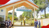 Nyamira county advertises 183 permanent and pensionable jobs for nurses, other positions