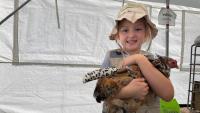 Fowl fashion takes centre stage at poultry costume contest in Morse, Sask.