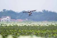 AI in Agriculture Brief Highlights Crop Production